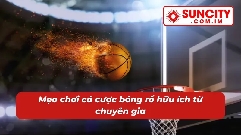 Bóng Rổ Suncity - Nền Tảng Giải Trí Trực Tuyến Chất Lượng 4 Những mẹo chơi hữu ích khi tham gia cá cược bóng rổ